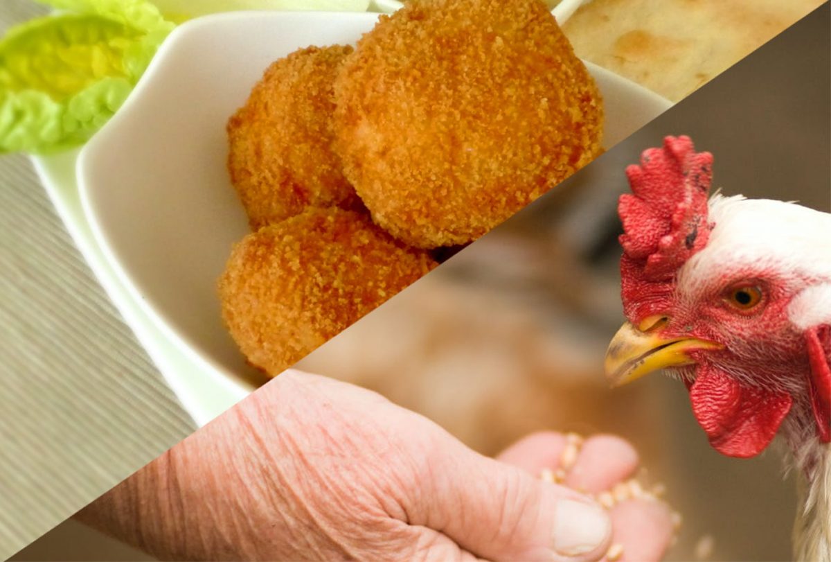 Is cultured chicken meat about to go mainstream?